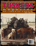 1 copy of any Issue